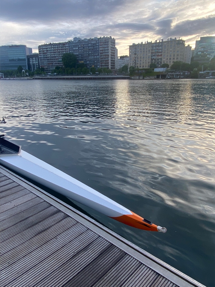 AVIRON-DELPHINE-DUHAIEN